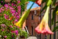 Bunte Blumen säumen eine Gasse mit traditionellen Häusern.