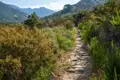 Wanderweg durch mediterrane Macchia