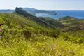 Aussicht von einem bewachsenen Hügel mit Wildblumen auf die Küste und das Meer.