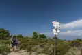 Wegweiser mit verschiedenen Richtungsangaben für Wanderer.