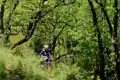 Wanderer mit Karte und Rucksack auf einem bewaldeten Wanderweg.