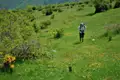 Wanderer auf einer blühenden Wiese während einer Wanderung.
