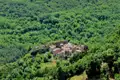 Luftbild eines kleinen Dorfes, umgeben von dichtem Wald.