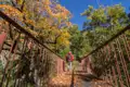 Wanderer auf einer mit Herbstlaub bedeckten Brücke.