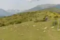 Wanderer auf einem Bergpfad mit schneebedeckten Bergen im Hintergrund.