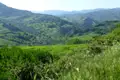 Ausblick auf eine grüne Hügellandschaft.