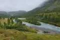 Fluss und bewachsene Uferlandschaft mit einem nebligen Berg im Hintergrund.