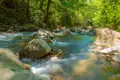 Flusslandschaft mit Steinen und Bäumen.
