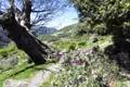 Wanderweg mit blühenden Pflanzen und Blick auf ein Bergdorf.