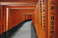 Torii-Tore mit japanischen Inschriften, die Daten und Stifternamen enthalten könnten,  bilden einen Pfad.