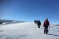 Gletscherbegehung einer Bergsteigergruppe.