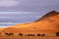 Rote Sanddünen und eine Bergkette unter bewölktem Himmel.