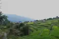 Terrassenförmig angelegte Felder und vereinzelte Häuser in einer bergigen Landschaft.
