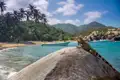 Leguan auf einem Felsen am Strand mit Palmen und türkisfarbenem Wasser im Hintergrund.