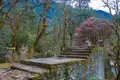Steinplattform mit Treppen und Wegweiser nach Manang, umgeben von blühenden Rhododendren.