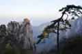Granitfelsen und Kiefern im Gebirge.