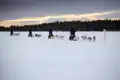 Hundegespanne auf einer Schneefläche