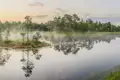 Mystische Stimmung am Moorsee mit Nebelschwaden und Baumspiegelungen.