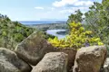 Gelbe Blumen und Felsen im Vordergrund mit Blick auf die Küste.
