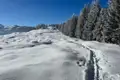 Winterlicher Weg durch verschneite Landschaft