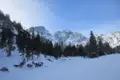 Schneebedeckte Berge und Tannenwald im Winter.
