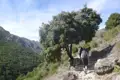 Wanderer auf einem steinigen Bergpfad.