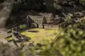 Überreste von Gebäuden und Mauern einer historischen Stätte, möglicherweise Teil einer archäologischen Ausgrabung.