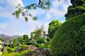 Japanischer Garten mit Formschnitt und Pagode.