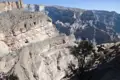Steile Felswände einer tiefen Schlucht mit einem Baum im Vordergrund.