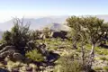 Wanderer erkunden einen felsigen Bergpfad inmitten einer kargen Landschaft mit Blick auf die umliegenden Berge.