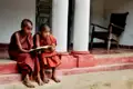 Zwei junge buddhistische Mönche lesen gemeinsam in einem Buch.