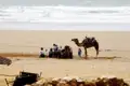 Kinder treffen auf ein Kamel am Strand.