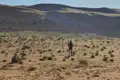 Zwei Kamele in der Wüste, eines liegend und eines stehend, mit Sanddünen im Hintergrund.