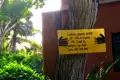 Schild mit der Aufschrift zur CO2-Absorption eines Baumes.