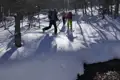 Drei Personen auf Skiern im tiefen Schnee eines Waldes.