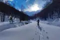 Skitourengeher im tiefen Schnee zwischen Bäumen.
