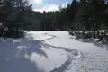 Spuren im Schnee eines verschneiten Waldweges.
