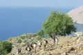 Wandergruppe auf einem Küstenpfad mit Blick auf das Meer.