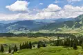 Grüne Hügellandschaft mit vereinzelten Bäumen und Häusern.