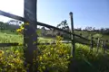 Rustikaler Holzzaun mit blühenden Wildblumen, der die Landschaft durchzieht.