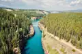 Luftaufnahme eines türkisfarbenen Flusses mit einer Hängebrücke inmitten eines Nadelwaldes.