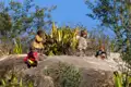 Kinder spielen auf einem Felsen in der Natur.