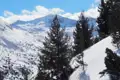Verschneite Berge und Tannen.