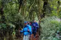 Wanderer mit Trekkingausrüstung auf einem Waldpfad.