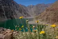 Gelbe Wildblumen im Vordergrund eines türkisfarbenen Bergsees, umgeben von schroffen Bergen.