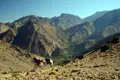 Packesel transportieren Gepäck auf einem Bergpfad. Im Hintergrund ist ein Tal und eine Bergkette zu sehen.