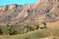 Mountainbiker in einer Wüstenlandschaft mit Palmen und Bergen.