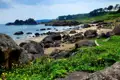 Felsige Küstenlandschaft mit Sandstrand und blühender Vegetation.