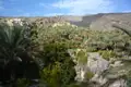 Dattelpalmen in einer Oase, mit einem Bergdorf im Hintergrund und felsiger Landschaft.