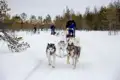 Hundegespann mit Schlittenführer in verschneiter Winterlandschaft.